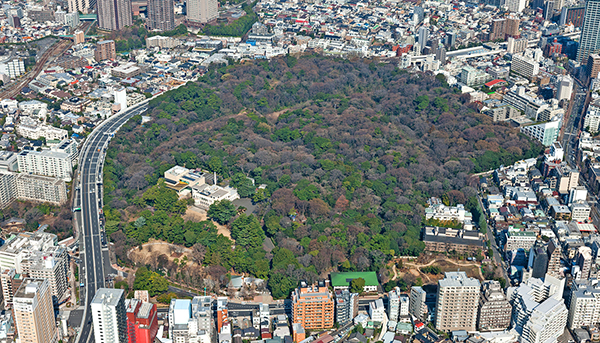 東京都庭園美術館